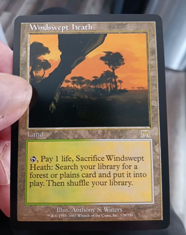2002 Magic: The Gathering #328 Windswept Heath — front