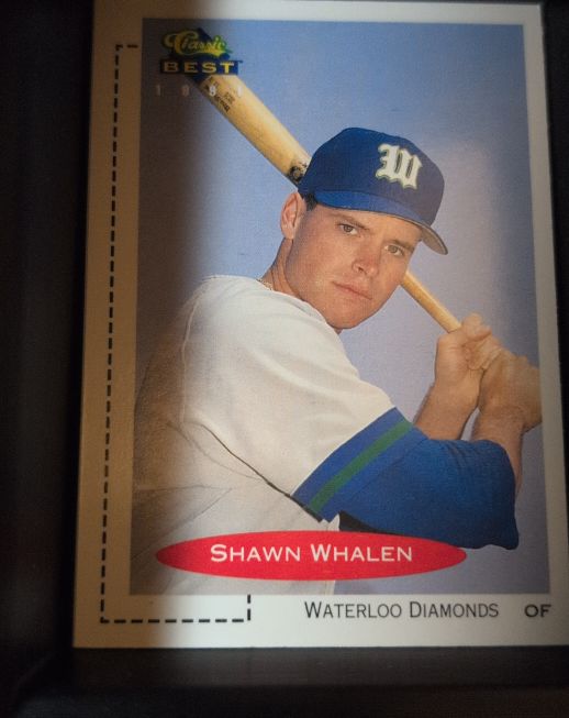 1991 Classic Best #337 Shawn Whalen — front