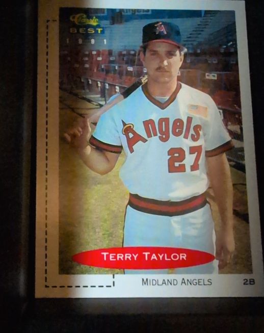 1991 Classic Best #328 Terry Taylor — front