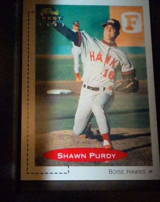1991 Classic Best #447 Shawn Purdy — front