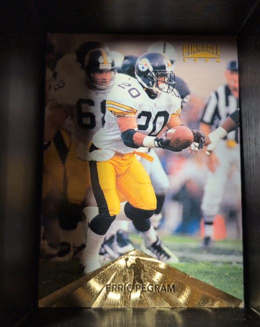 1996 Pinnacle #136 Erric Pegram — front
