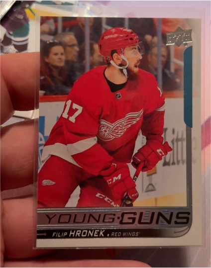 2018-19 Upper Deck #214 Filip Hronek — front