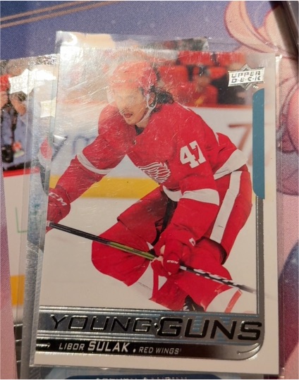 2018-19 Upper Deck #227 Libor Sulak Young Guns — front