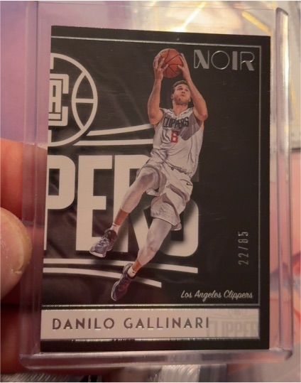 2018-19 Panini Noir #8 Danilo Gallinari — front