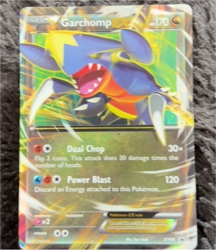 2014 Pokémon Black Star Promo #XY09 Garchomp EX — front