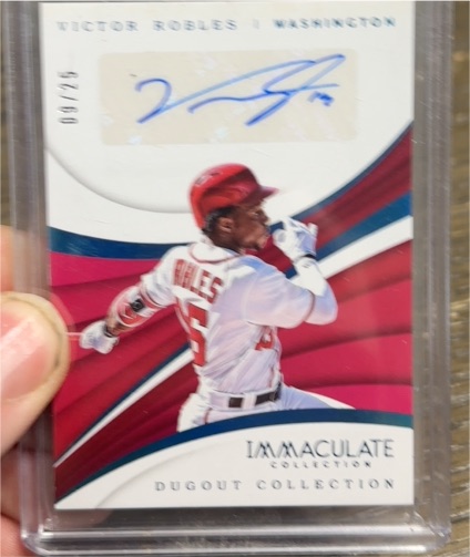 2018 Panini Immaculate Dugout Collection #RDS-VR Victor Robles — front