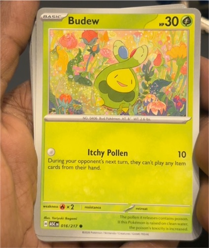 2025 Pokémon #016 Budew Ascended Heroes — front