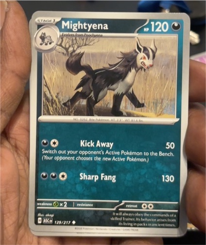 2023 Pokémon SV: Scarlet & Violet - Twilight Masquerade #129 Mightyena — front