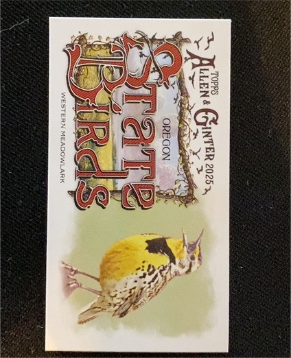2025 Topps Allen & Ginter Mini State Birds #SB-37 Western Meadowlark (Oregon) — front