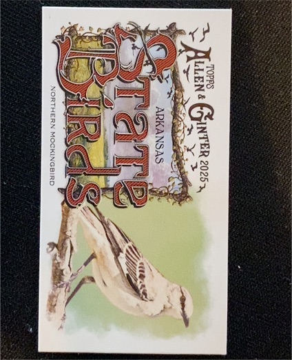 2025 Topps Allen & Ginter Mini State Birds #SB-4 Northern Mockingbird Arkansas — front