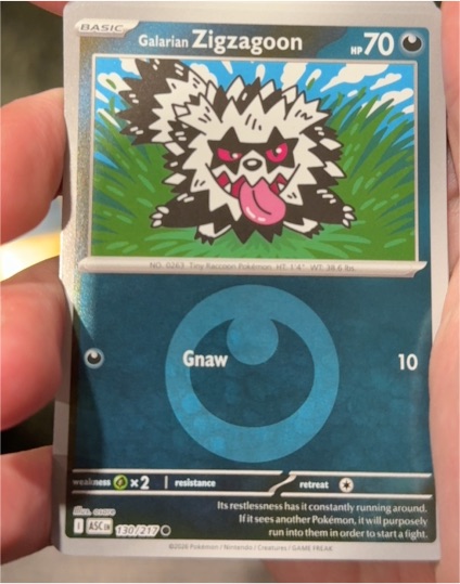 2021 Pokémon Ascended Heroes #130 Galarian Zigzagoon — front