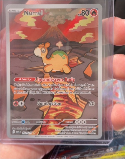 2026 Pokémon Ascended Heroes #223 Numel — front