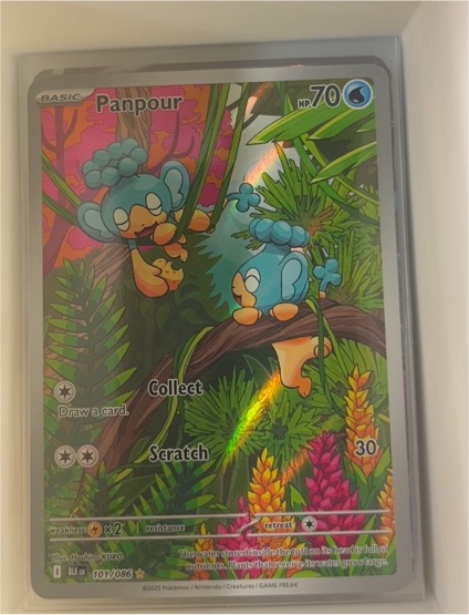 2025 Pokémon TCG #101 Panpour — front