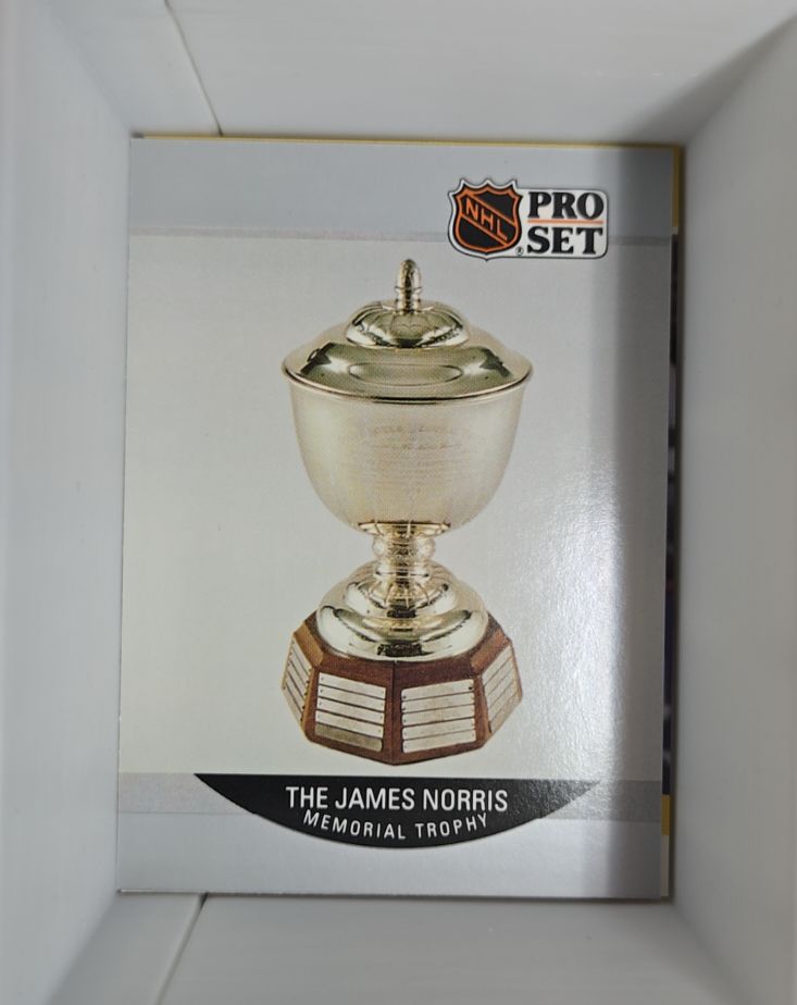 1990-91 Pro Set #384 The James Norris Memorial Trophy Ray Bourque — front