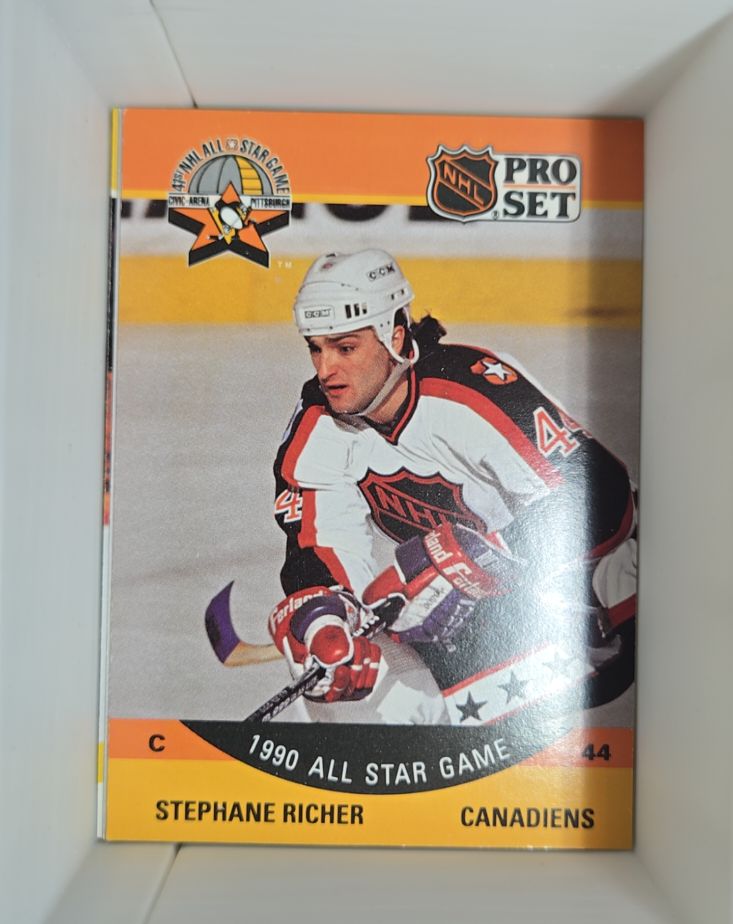 1990-91 Pro Set #370 Stephane Richer — front