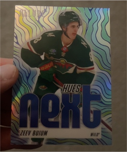 2025-26 Upper Deck Allure #HN-14 Zeev Buium Hues Next — front
