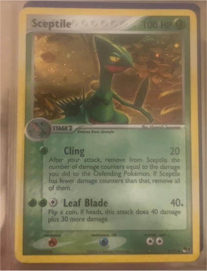 2004 Black Star Promo #4 Sceptile — front