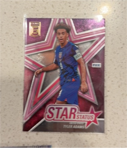 2022-23 Panini Donruss Elite FIFA Soccer Star Status Tyler Adams — front