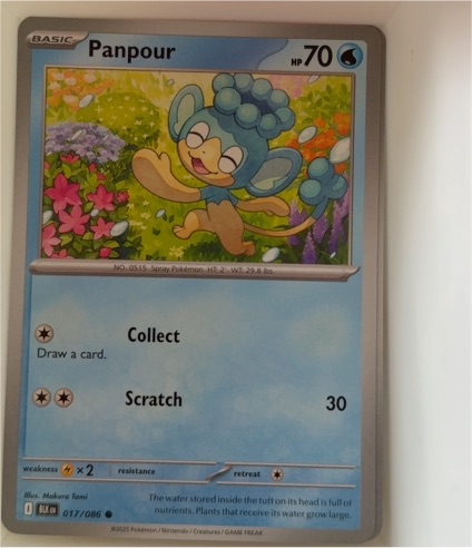 2025 Pokémon SV: Black Bolt #017 Panpour — front