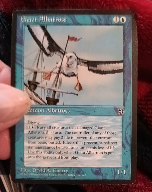 1995 Magic: The Gathering Homelands #27a Giant Albatross — front