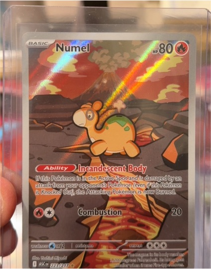 2020 Pokémon #223 Numel — front
