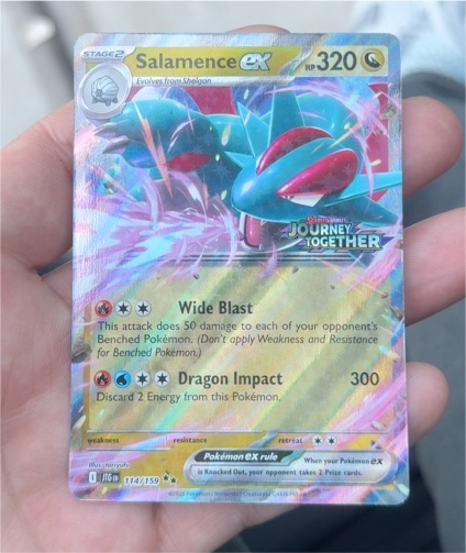 2025 Pokémon #114 Salamence ex — front