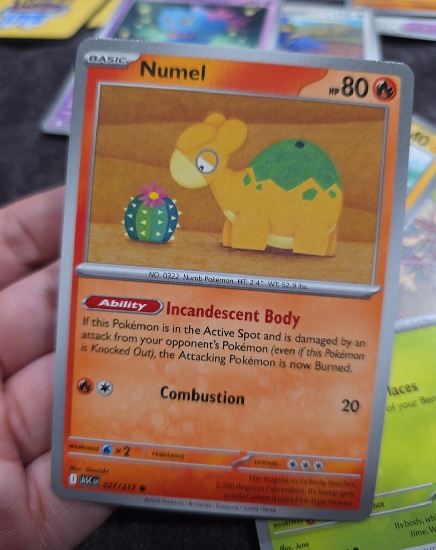 2020 Pokémon Ascended Heroes #027 Numel — front