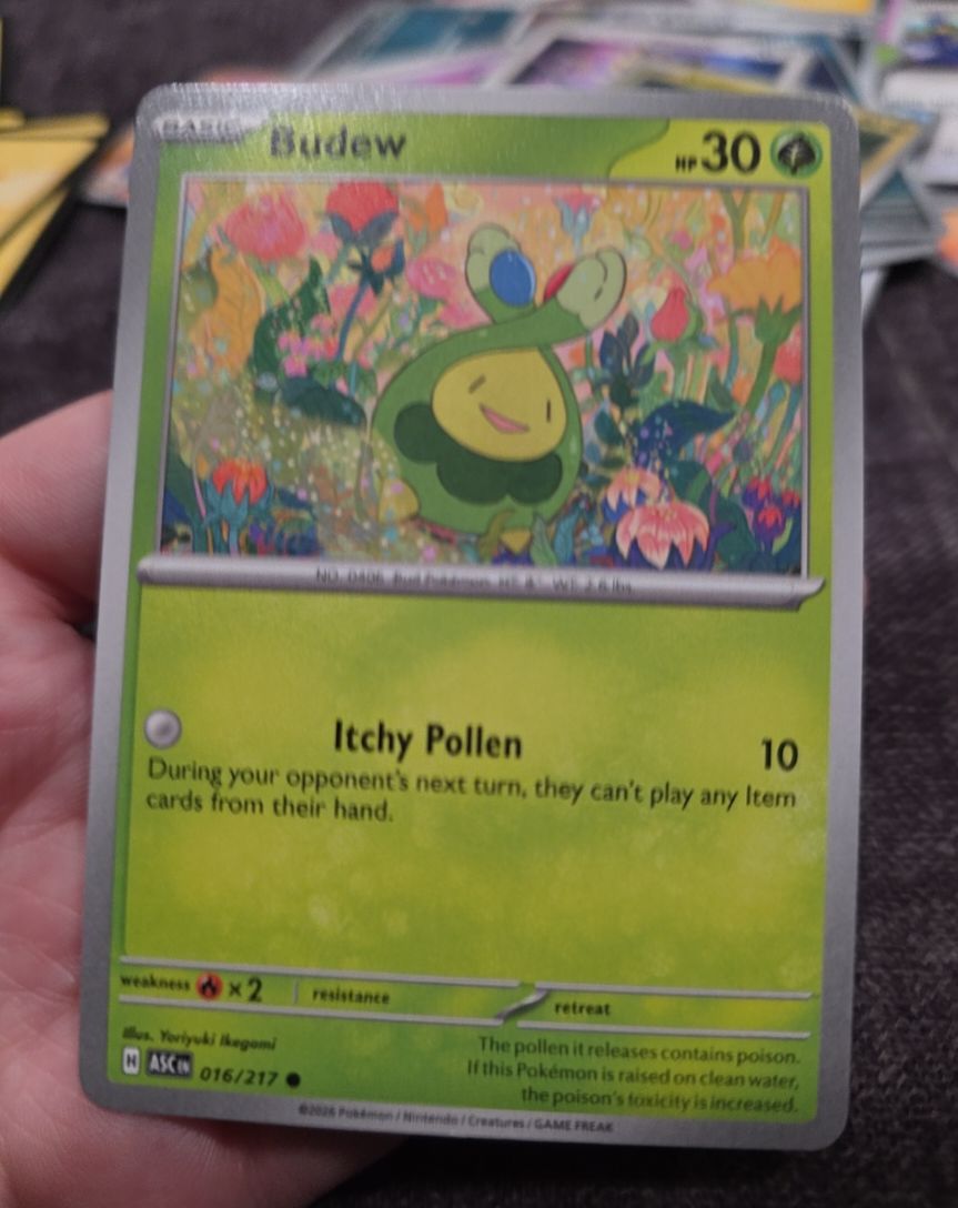2026 Pokémon #016 Budew — front