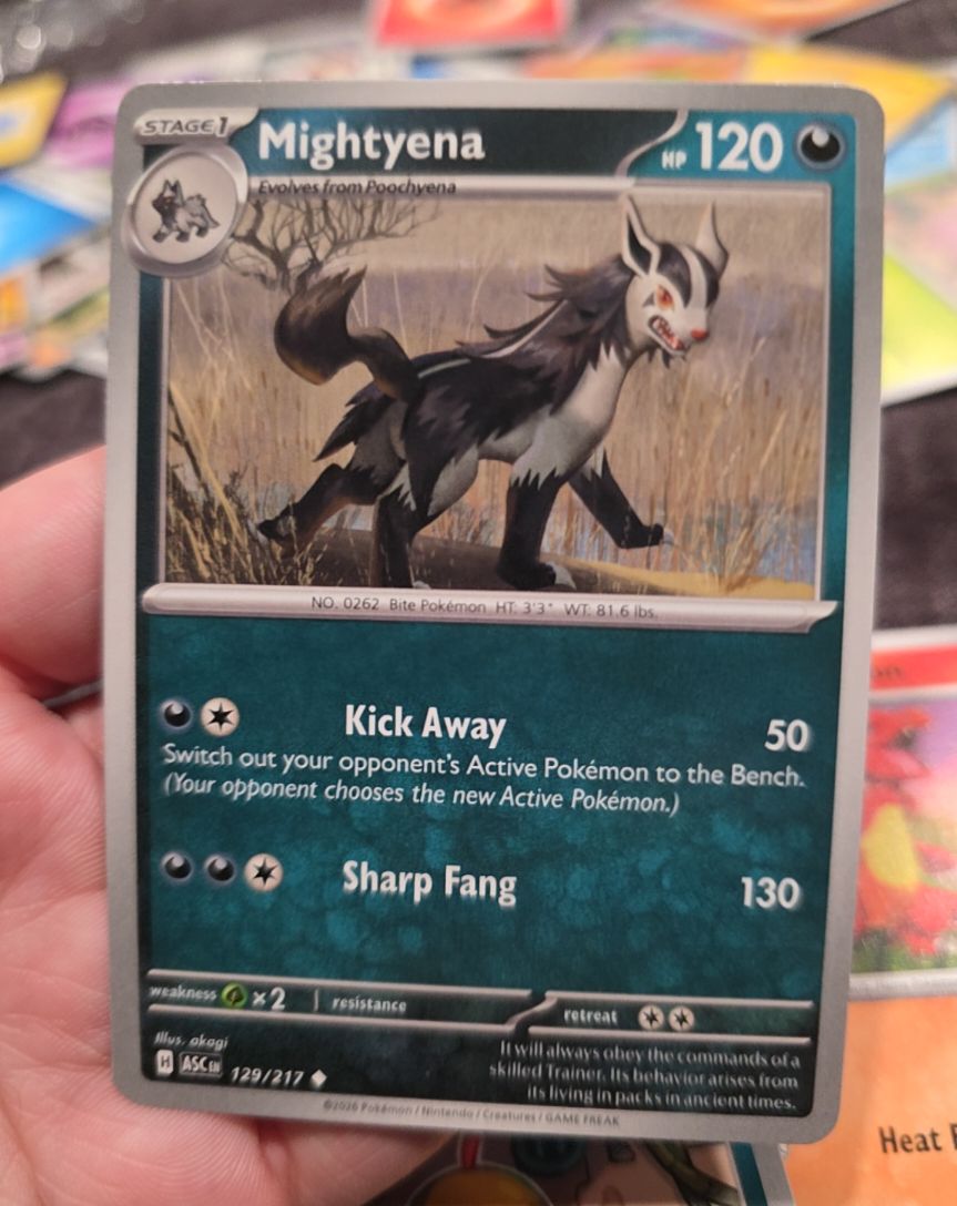 2024 Pokémon Scarlet & Violet #129 Mightyena — front