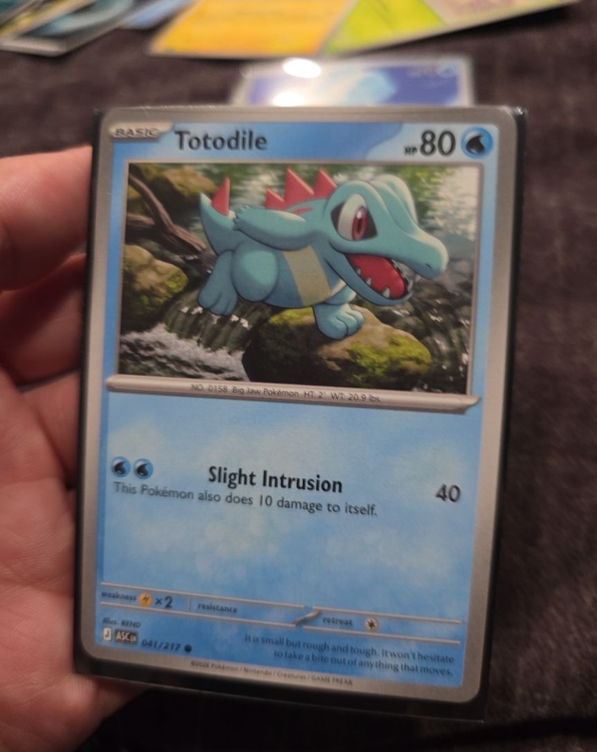 2022 Pokémon Ascended Heroes #041 Totodile — front