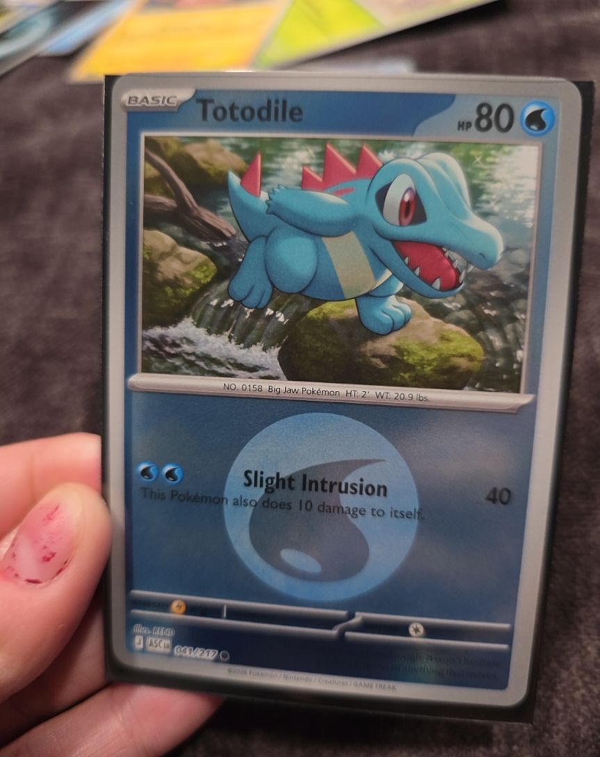 2022 Pokémon Ascended Heroes #041 Totodile — front