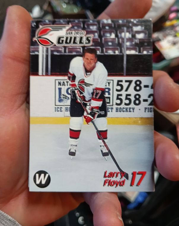 1992-93 Pro Set #17 Larry Floyd — front