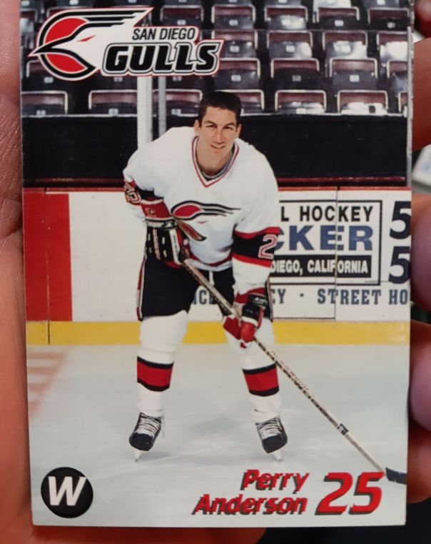 1991 San Diego Gulls #25 Perry Anderson — front