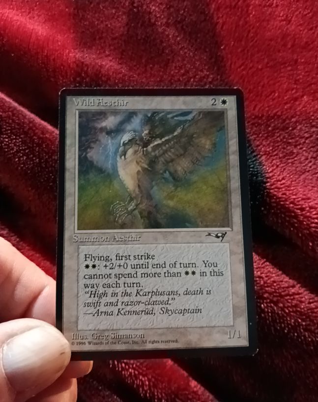 1996 Magic: The Gathering Alliances #21a Wild Aesthir — front