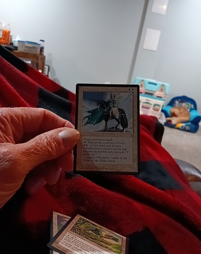 1994 Magic: The Gathering Order of the White Shield — front