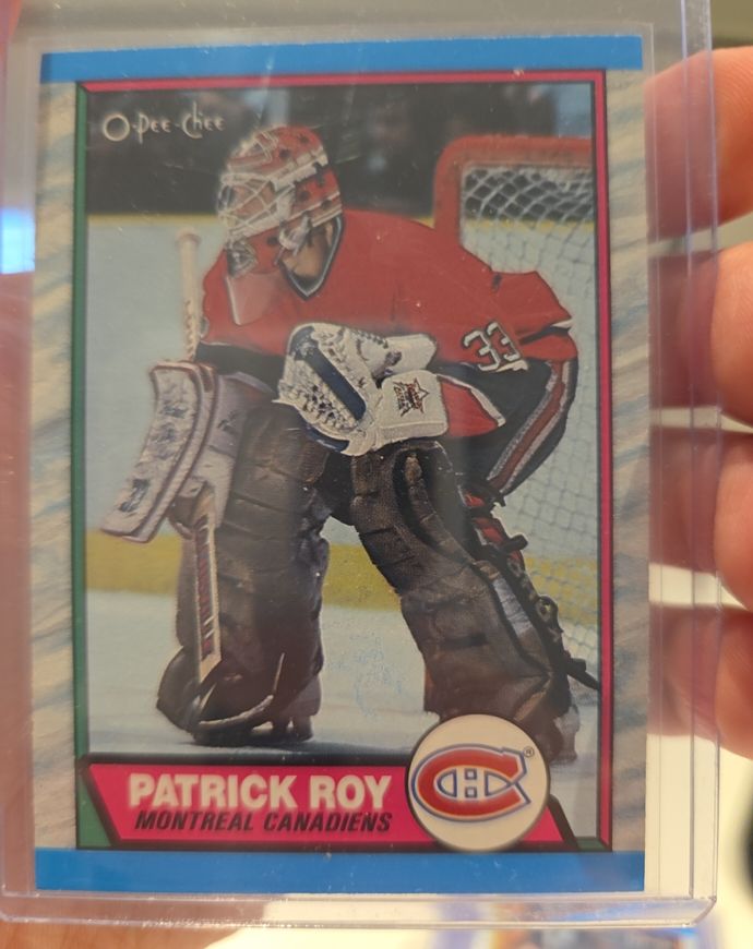 1989-90 O-Pee-Chee #17 Patrick Roy — front