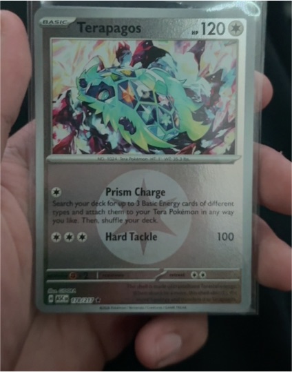 2023 Pokémon SV08 Surging Sparks #161 Terapagos — front