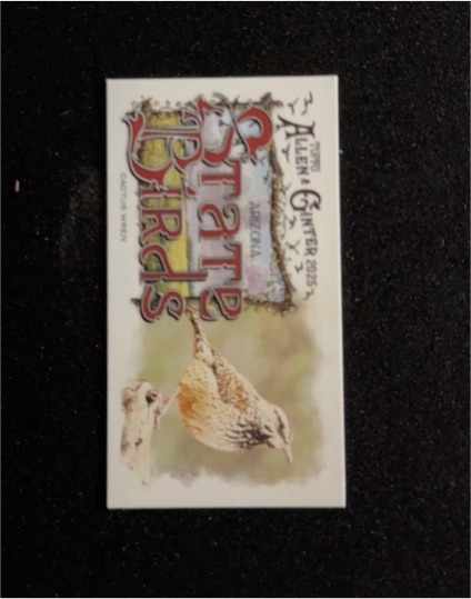 2025 Topps Allen & Ginter Mini State Birds #SB-3 Cactus Wren Arizona — front