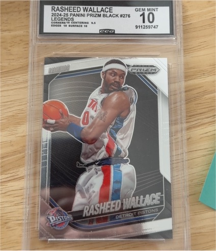 2024-25 Panini Prizm Black #276 Rasheed Wallace — front