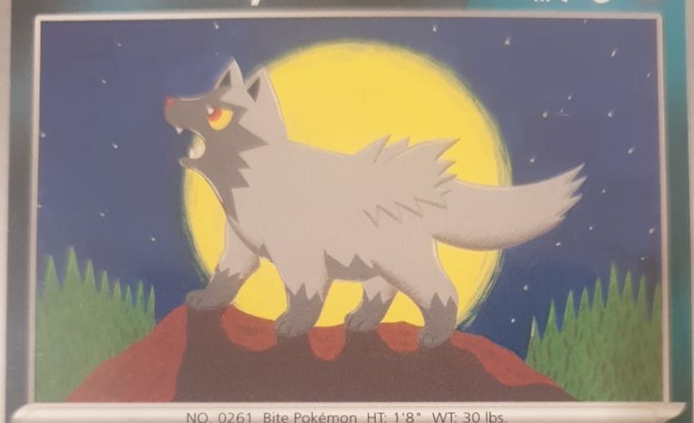 2024 Pokémon SV5K #048 Poochyena — front