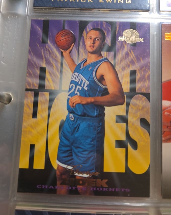 1995-96 Skybox High Hopes #HH3 George Zidek — front