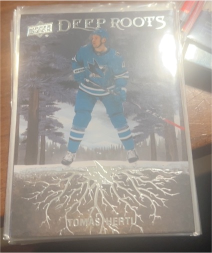 2023-24 Upper Deck Series 2 #DR-43 Tomas Hertl Deep Roots — front