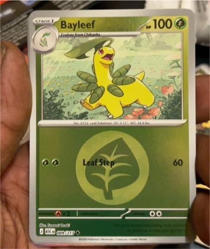 2026 Pokémon Ascended Heroes #009 Bayleef — front