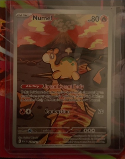 2023 Pokémon Ascended Heroes #223 Numel — front