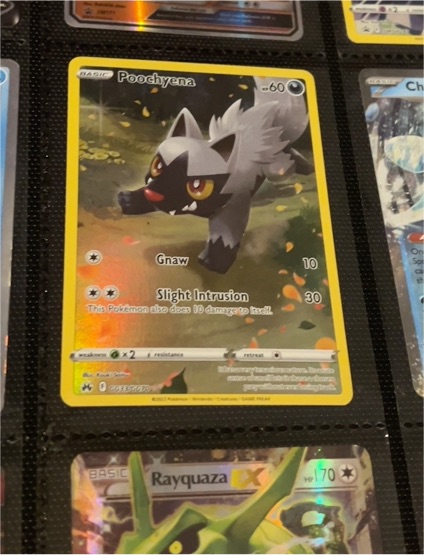 2023 Pokémon Crown Zenith GG33 Poochyena — front