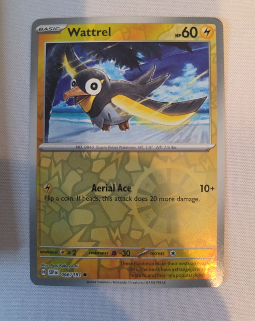 2024 Pokémon SV08: Surging Sparks #066 Wattrel — front