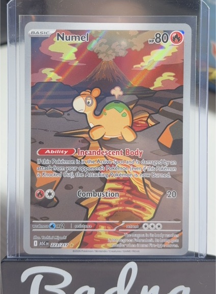 2026 Pokemon Ascended Heroes #223 Numel — front