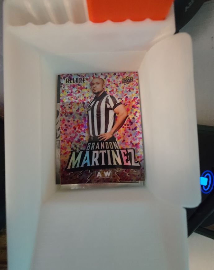 2024 Upper Deck AEW Allure #116 Brandon Martinez — front