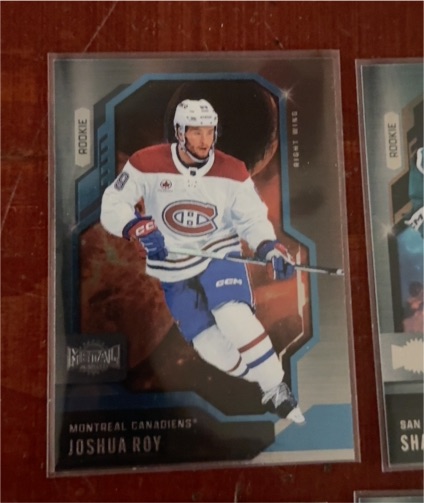 2024-25 SkyBox Metal Universe #123 Joshua Roy — front