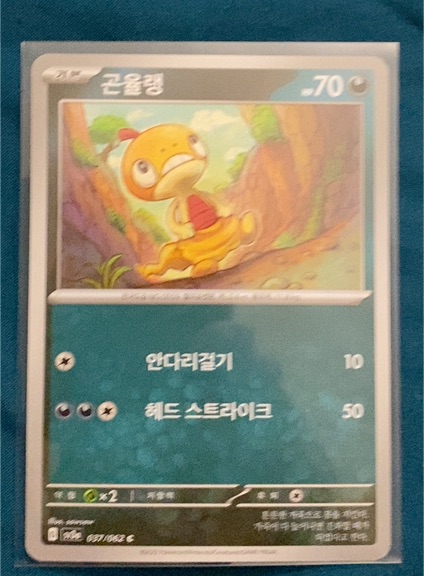 2023 Pokémon SV3a Raging Surf #37 Scraggy — front